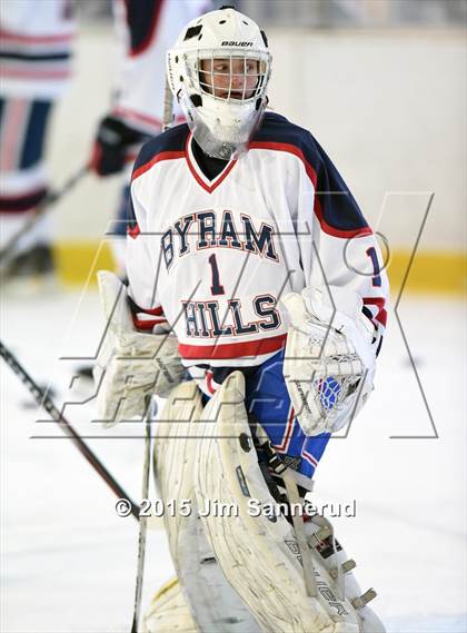 Thumbnail 1 in White Plains @ Byram Hills photogallery.