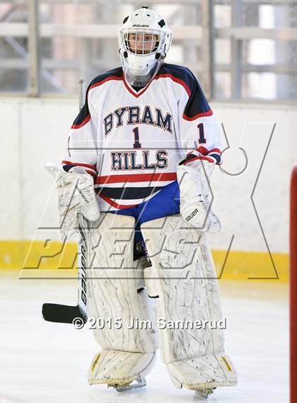 Thumbnail 1 in White Plains @ Byram Hills photogallery.