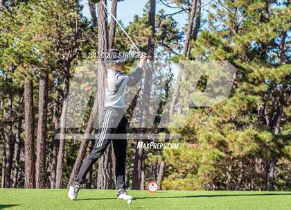 Thumbnail 2 in CIF State Girls Golf Championships   photogallery.