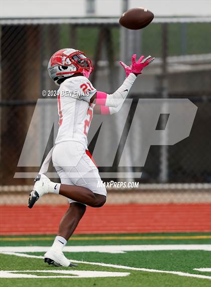 Thumbnail 3 in Banneker @ Lovejoy photogallery.