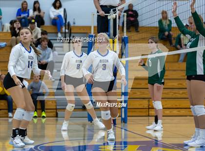 Thumbnail 3 in Berrien Springs @ New Buffalo photogallery.