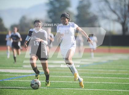 Thumbnail 2 in Saint Francis @ Archbishop Mitty photogallery.