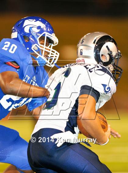 Thumbnail 2 in Cy-Ridge @ Cy Creek photogallery.