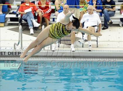 Thumbnail 1 in Section V, Class C Diving Championships photogallery.
