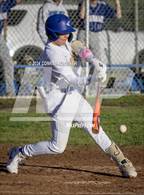 Photo from the gallery "Burbank @ Muir"