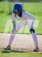 Photo from the gallery "Burbank @ Muir"