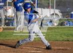 Photo from the gallery "Burbank @ Muir"