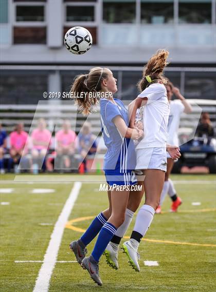 Thumbnail 3 in Trumbull @ Ludlowe photogallery.