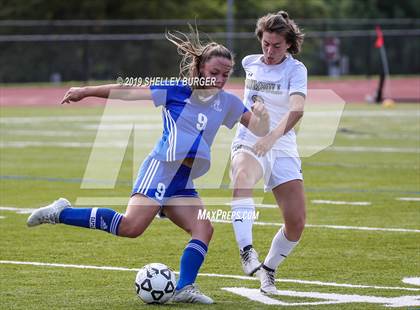 Thumbnail 3 in Trumbull @ Ludlowe photogallery.
