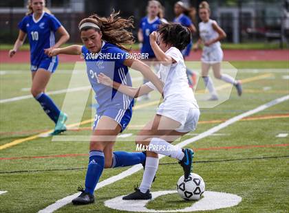 Thumbnail 3 in Trumbull @ Ludlowe photogallery.