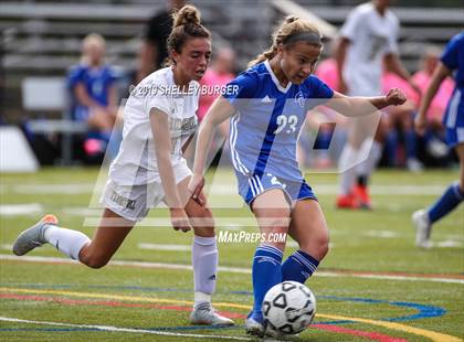 Thumbnail 3 in Trumbull @ Ludlowe photogallery.