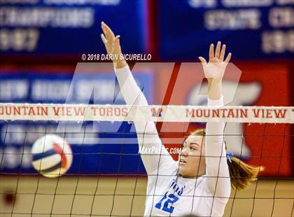 Thumbnail 1 in Dobson @ Mountain View photogallery.