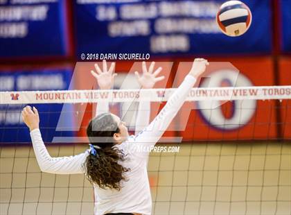 Thumbnail 2 in Dobson @ Mountain View photogallery.