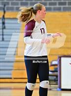 Photo from the gallery "Summit vs. Golden"