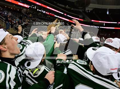 Thumbnail 2 in Don Bosco Prep vs Delbarton (NJSIAA Non-Public Finals) photogallery.