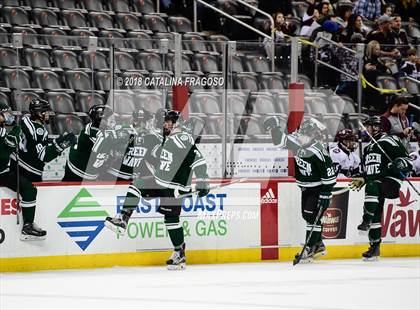 Thumbnail 1 in Don Bosco Prep vs Delbarton (NJSIAA Non-Public Finals) photogallery.