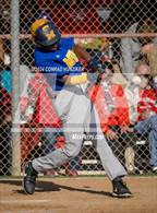 Photo from the gallery "Pasadena @ Muir"