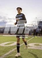 Photo from the gallery "Sahuaro @ Mica Mountain"