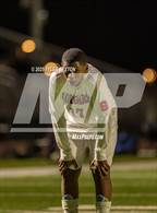 Photo from the gallery "Sahuaro @ Mica Mountain"