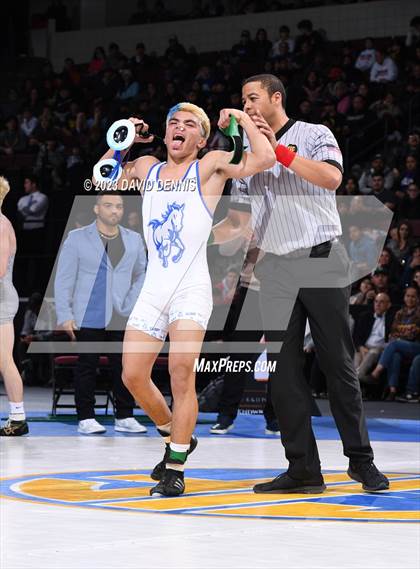 Thumbnail 1 in CIF State Boys Wrestling Championships (126-170 Finals) photogallery.
