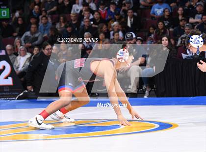 Thumbnail 3 in CIF State Boys Wrestling Championships (126-170 Finals) photogallery.