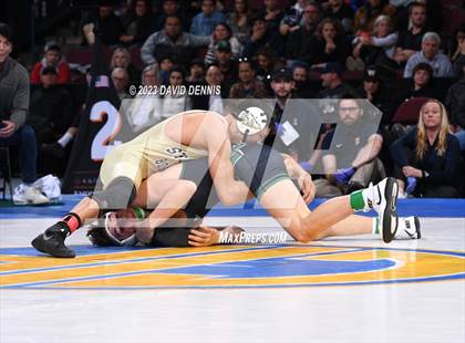 Thumbnail 3 in CIF State Boys Wrestling Championships (126-170 Finals) photogallery.