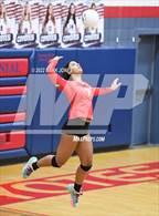 Photo from the gallery "Williams Field @ Centennial"