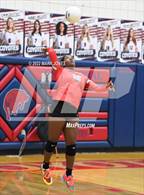 Photo from the gallery "Williams Field @ Centennial"