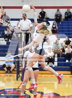 Photo from the gallery "Williams Field @ Centennial"