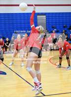 Photo from the gallery "Williams Field @ Centennial"