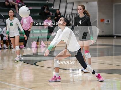 Thumbnail 1 in JV: Murray @ Hillcrest photogallery.