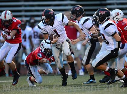 Thumbnail 1 in Warde @ Foran photogallery.