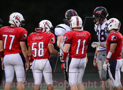 Thumbnail 1 in Warde @ Foran photogallery.