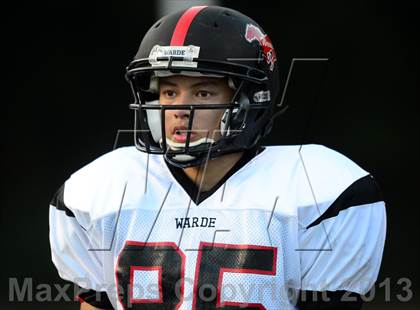 Thumbnail 1 in Warde @ Foran photogallery.