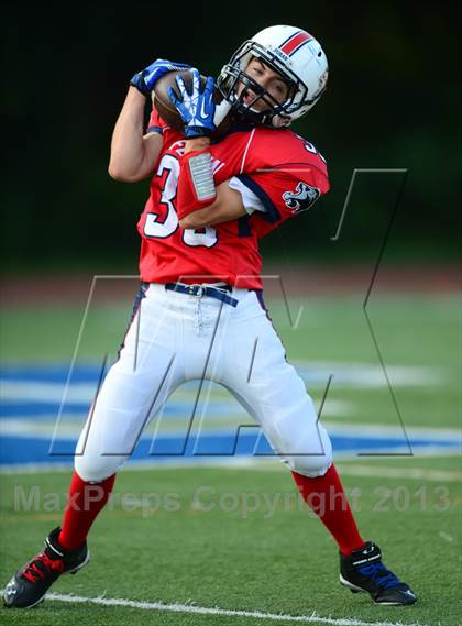 Thumbnail 3 in Warde @ Foran photogallery.