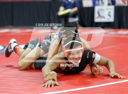 Thumbnail 1 in  CIF State Boys Wrestling Championships (Round 1) photogallery.