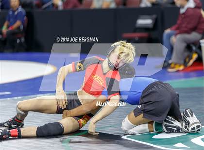 Thumbnail 2 in  CIF State Boys Wrestling Championships (Round 1) photogallery.