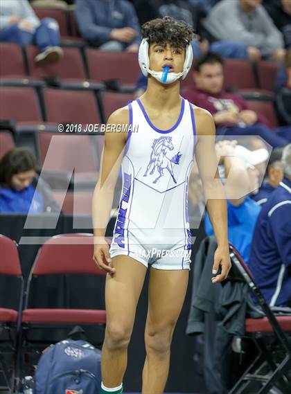 Thumbnail 1 in  CIF State Boys Wrestling Championships (Round 1) photogallery.