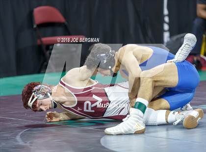 Thumbnail 1 in  CIF State Boys Wrestling Championships (Round 1) photogallery.