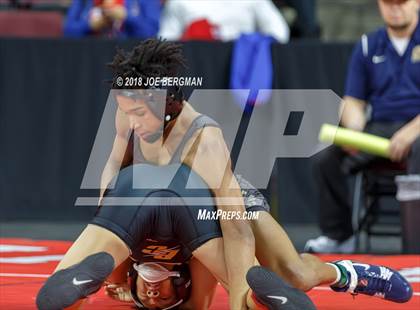 Thumbnail 2 in  CIF State Boys Wrestling Championships (Round 1) photogallery.