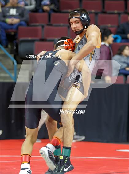 Thumbnail 2 in  CIF State Boys Wrestling Championships (Round 1) photogallery.