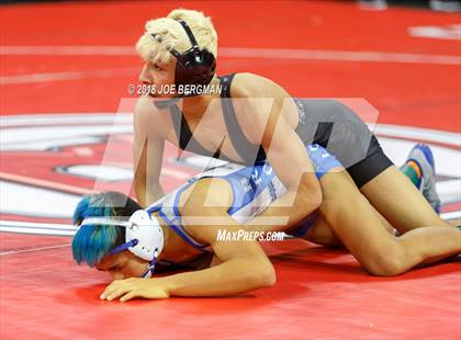 Thumbnail 1 in  CIF State Boys Wrestling Championships (Round 1) photogallery.