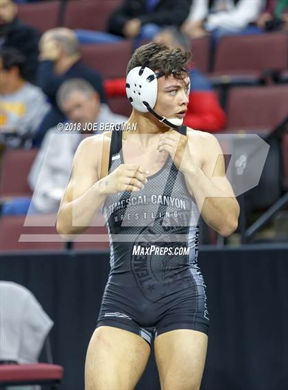 Thumbnail 3 in  CIF State Boys Wrestling Championships (Round 1) photogallery.