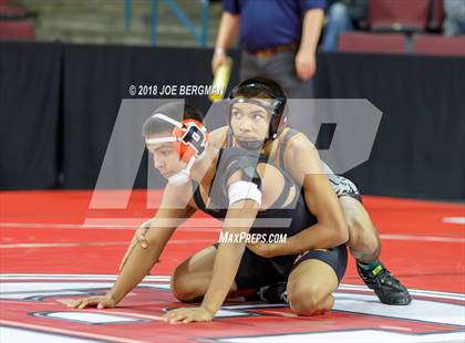 Thumbnail 2 in  CIF State Boys Wrestling Championships (Round 1) photogallery.