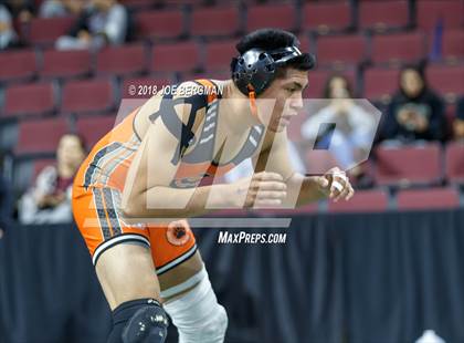 Thumbnail 1 in  CIF State Boys Wrestling Championships (Round 1) photogallery.