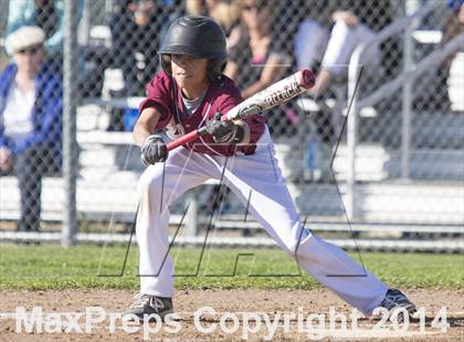 Thumbnail 1 in Rocklin @ Whitney photogallery.