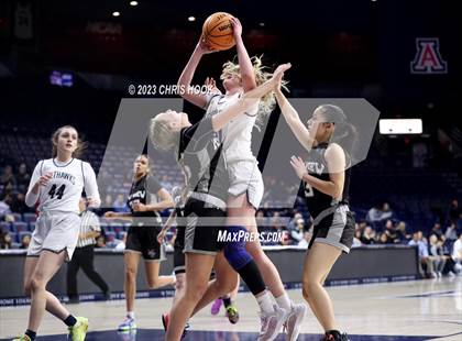 Thumbnail 2 in Mountain View v Ironwood Ridge (MLK Basketball Classic) photogallery.