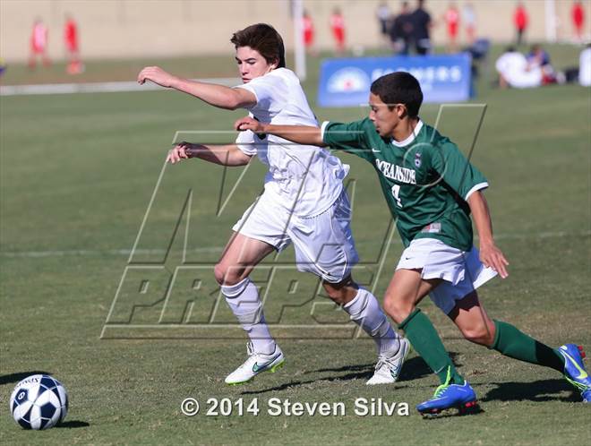null - Photo 01