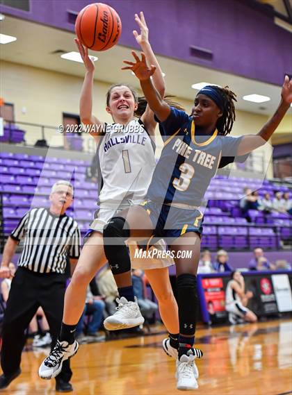 Thumbnail 3 in Pine Tree @ Hallsville photogallery.