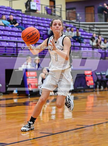 Thumbnail 1 in Pine Tree @ Hallsville photogallery.